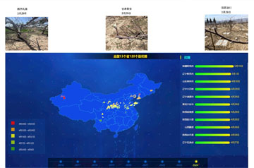 大部分產(chǎn)區(qū)蘋果花期較常年持平或偏晚 甘肅山東等產(chǎn)區(qū)需防范花期凍害風(fēng)險