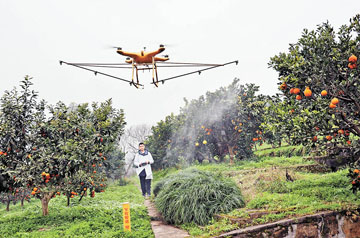 河南金光農(nóng)業(yè)科技有限公司獲河南省2024年農(nóng)業(yè)主推技術(shù)依托單位