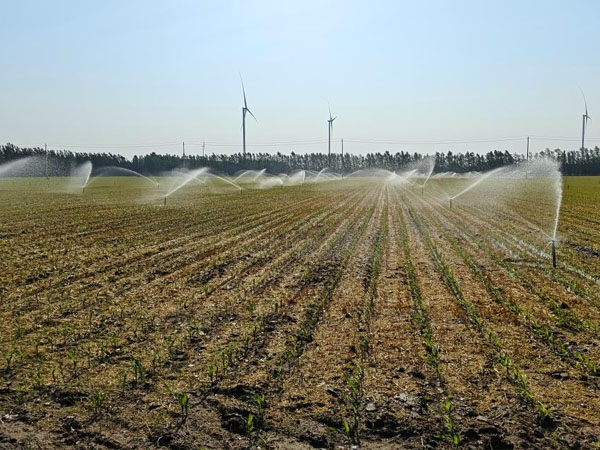 華北黃淮局地干旱持續(xù) 應(yīng)繼續(xù)抓好抗旱保苗